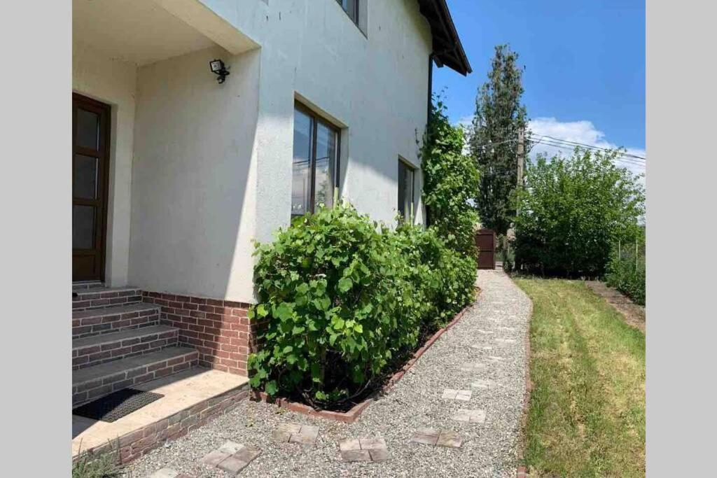Casa Andreea. Cheerful 4-Bedroom Villa Bod Exterior foto